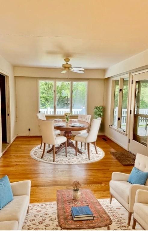 919 Fassett Rd, Elmira, NY 14905 - living room featuring light wood-type flooring and ceiling fan