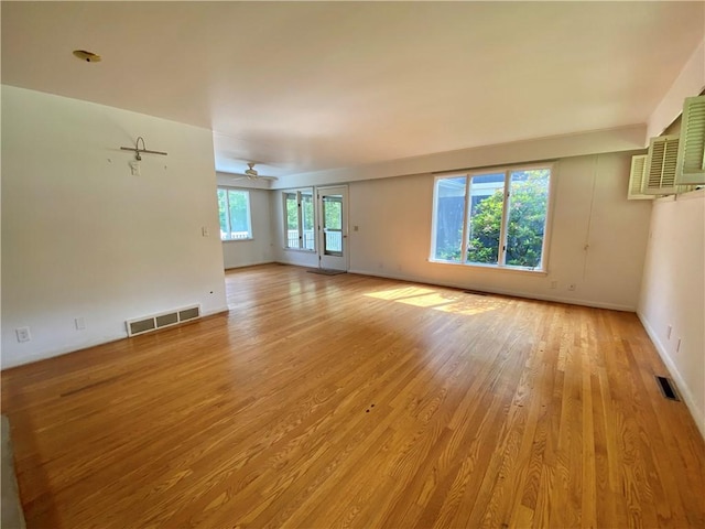 919 Fassett Rd, Elmira, NY 14905 - spare room featuring light wood-type flooring and ceiling fan