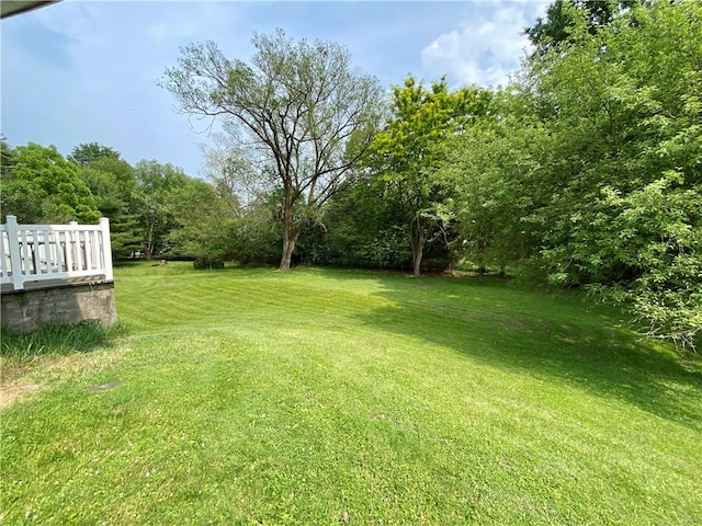 919 Fassett Rd, Elmira, NY 14905 - view of grassy yard