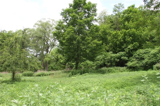 6581 Chappel Rd, Addison, NY 14801 - view of woods