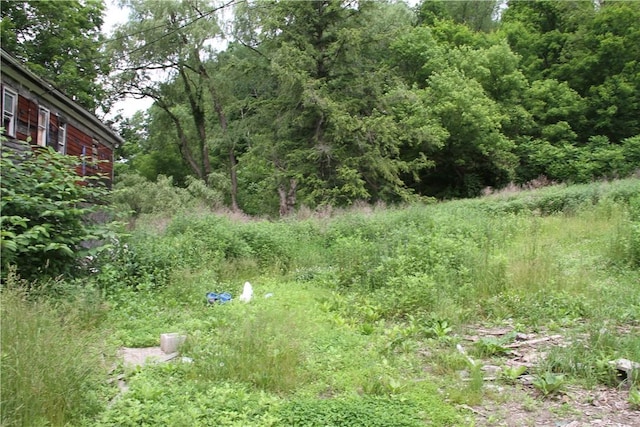 6581 Chappel Rd, Addison, NY 14801 - view of yard