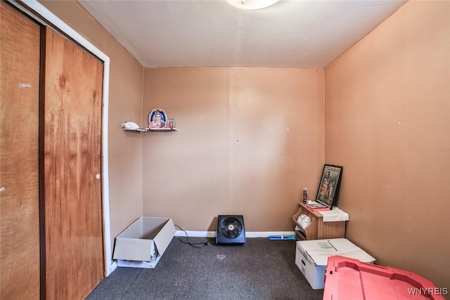 132 Ryan St, Buffalo, NY 14210 - miscellaneous room featuring carpet floors and baseboards