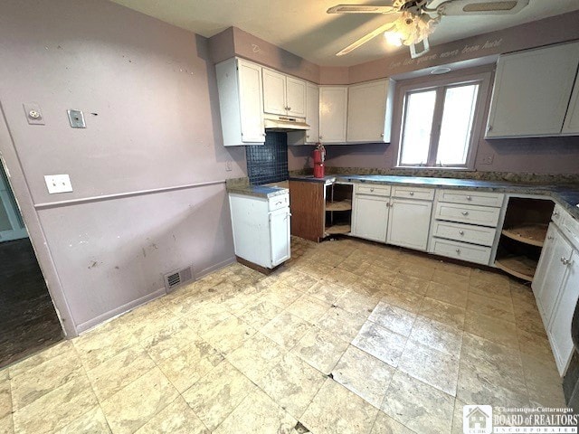 3 Jaekle Ave, Hanover, NY 14136 - kitchen featuring under cabinet range hood, white cabinets, ceiling fan, and wine cooler