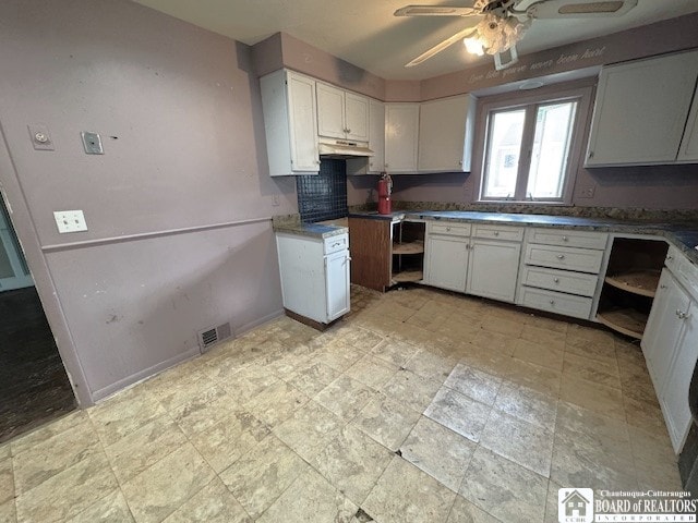 3 Jaekle Ave, Hanover, NY 14136 - kitchen with under cabinet range hood, ceiling fan, white cabinetry, and decorative backsplash