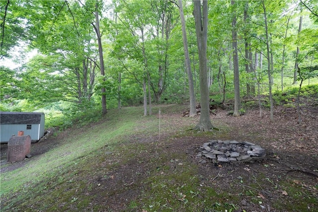 207 County Road 7, Manchester, NY 14432 - view of yard with a fire pit, a storage unit, and a wooded view