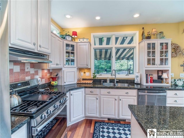 4627 Anderson Dr, Ellery, NY 14712 - kitchen featuring appliances with stainless steel finishes, under cabinet range hood, healthy amount of natural light, white cabinetry, and recessed lighting