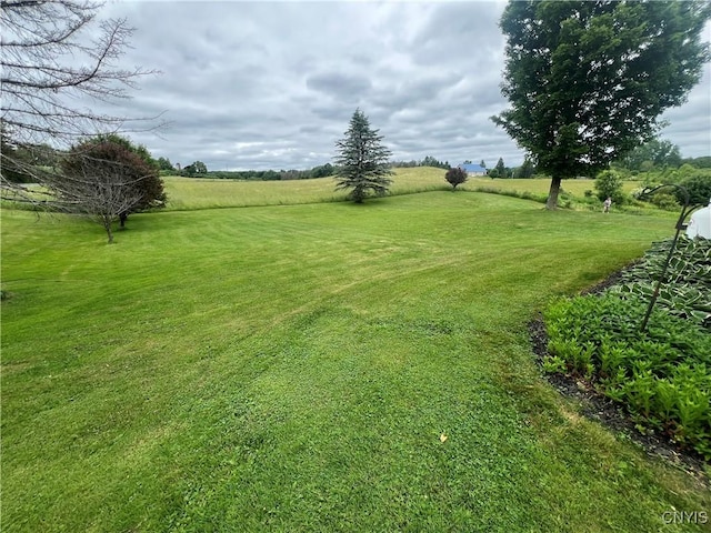 412 County Route 62, Sandy Creek, NY 13142 - view of grassy yard featuring a rural view