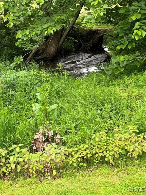 412 County Route 62, Sandy Creek, NY 13142 - exterior view