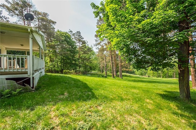 223 N Vine Valley Rd, Middlesex, NY 14544 - view of grassy yard