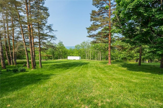 223 N Vine Valley Rd, Middlesex, NY 14544 - view of grassy yard featuring a forest view