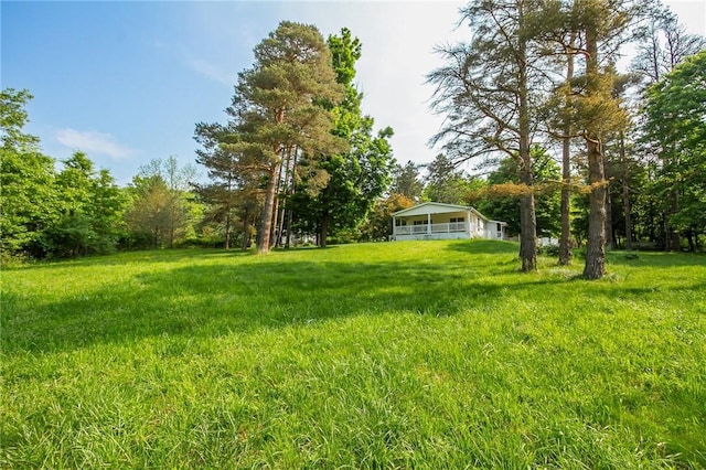 223 N Vine Valley Rd, Middlesex, NY 14544 - view of yard