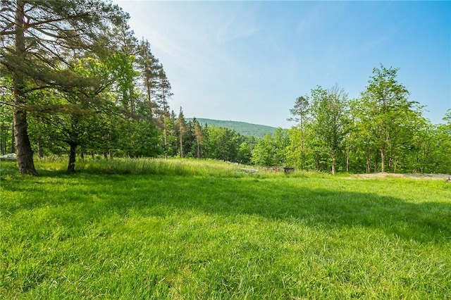 223 N Vine Valley Rd, Middlesex, NY 14544 - view of yard featuring a forest view