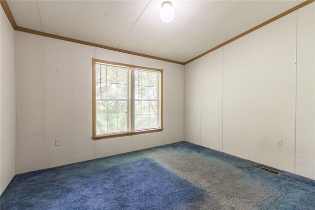 223 N Vine Valley Rd, Middlesex, NY 14544 - carpeted empty room featuring ornamental molding and lofted ceiling