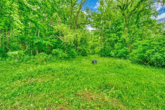 1541 Shoecraft Rd, Penfield, NY 14526 - view of nature