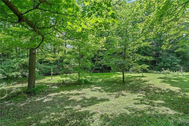 2 Morton Rd, Dewitt, NY 13214 - view of grassy yard with a view of trees