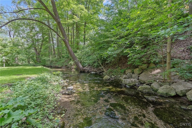 2 Morton Rd, Dewitt, NY 13214 - view of nature