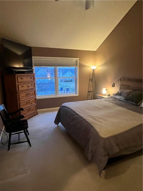 29 Copper Beech Run, Perinton, NY 14450 - photo 25