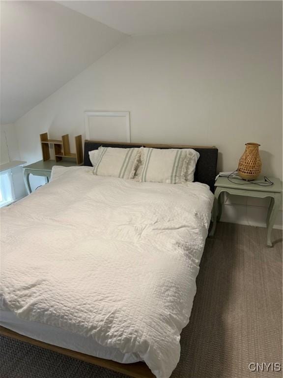 10 Montgomery St, Hamilton, NY 13346 - bedroom with lofted ceiling