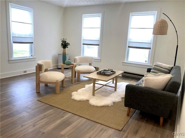 10 Montgomery St, Hamilton, NY 13346 - living area with wood finished floors and a baseboard radiator