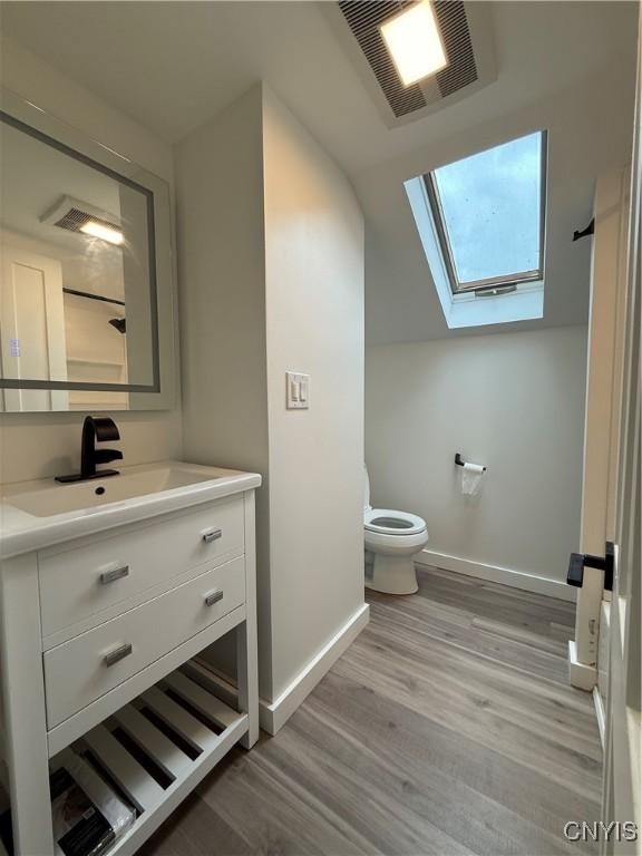 10 Montgomery St, Hamilton, NY 13346 - bathroom featuring vanity, a skylight, and wood finished floors
