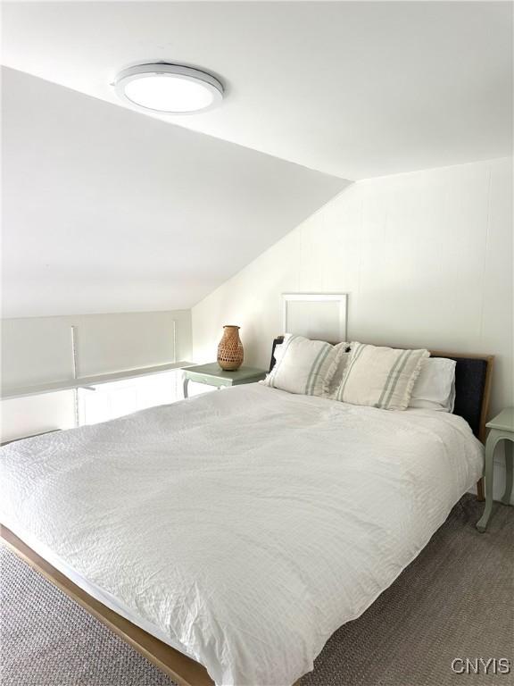 10 Montgomery St, Hamilton, NY 13346 - bedroom featuring vaulted ceiling