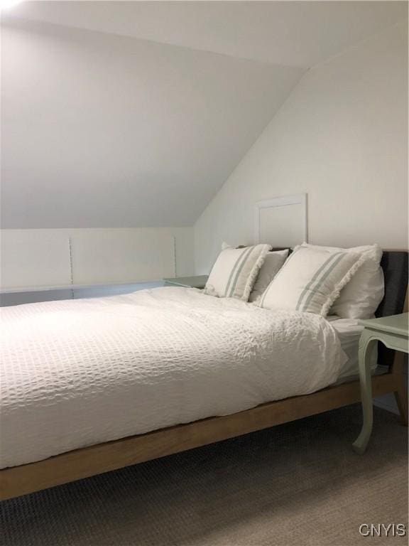 10 Montgomery St, Hamilton, NY 13346 - bedroom featuring lofted ceiling