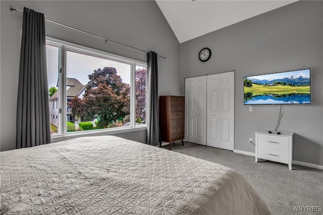 184 14th St, Buffalo, NY 14213 - carpeted bedroom featuring high vaulted ceiling and a closet