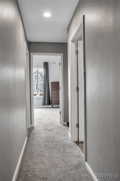 184 14th St, Buffalo, NY 14213 - corridor with carpet and baseboards