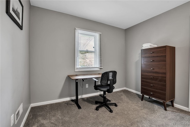 184 14th St, Buffalo, NY 14213 - home office with carpet and baseboards