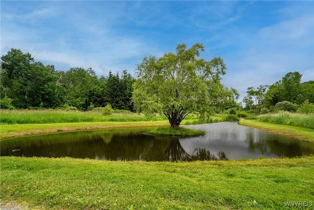 2540 Snyder Rd, Orangeville, NY 14167 - water view