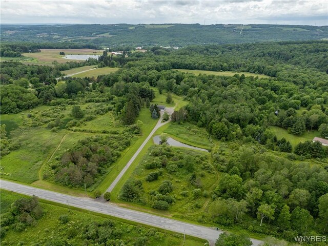 2540 Snyder Rd, Orangeville, NY 14167 - drone / aerial view of a heavily wooded area