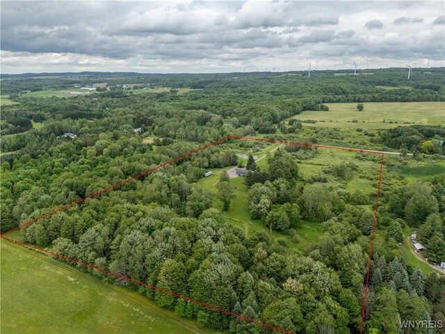 2540 Snyder Rd, Orangeville, NY 14167 - aerial view of property's location with property parcel outlined and a forest