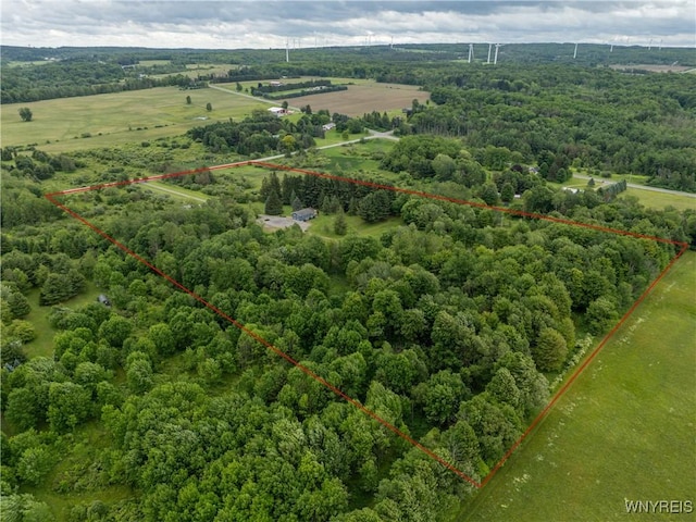 2540 Snyder Rd, Orangeville, NY 14167 - view of rural area featuring property boundaries highlighted