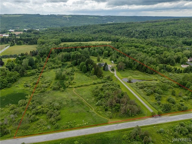 2540 Snyder Rd, Orangeville, NY 14167 - aerial overview of property's location with property boundaries highlighted