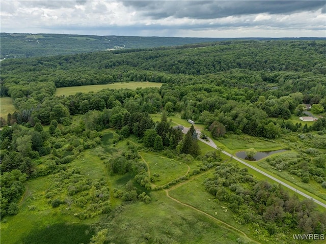 2540 Snyder Rd, Orangeville, NY 14167 - aerial view of a forest