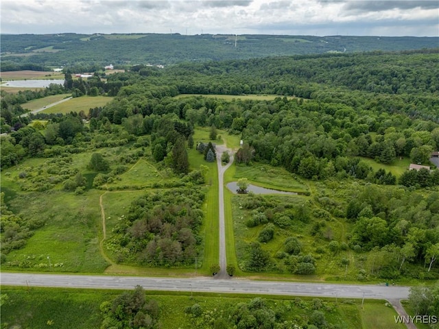 2540 Snyder Rd, Orangeville, NY 14167 - aerial view of a forest