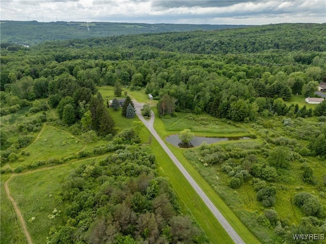 2540 Snyder Rd, Orangeville, NY 14167 - aerial view of a heavily wooded area and a nearby body of water
