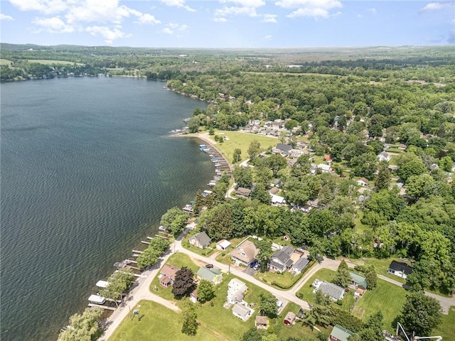 8479 Princeton St, Richmond, NY 14471 - aerial view of property's location featuring a nearby body of water and a heavily wooded area
