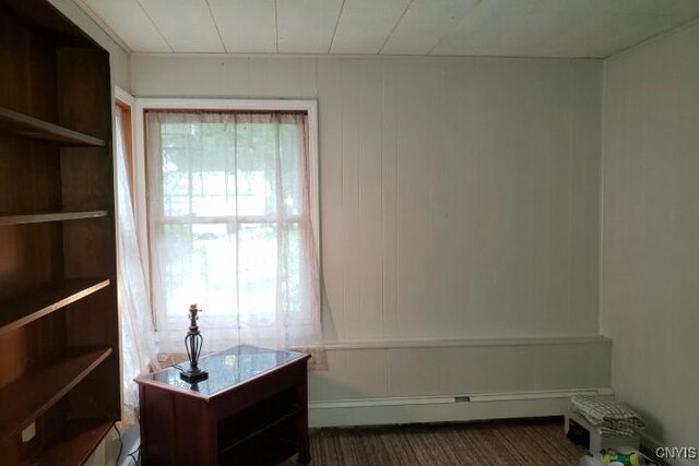 24 Loomis Ter, Schroeppel, NY 13135 - photo 41