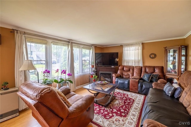 703 Winchester Rd, Dewitt, NY 13057 - living area featuring light wood-style floors, crown molding, and a glass covered fireplace