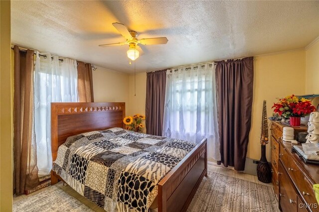 703 Winchester Rd, Dewitt, NY 13057 - bedroom with a textured ceiling, a ceiling fan, and crown molding