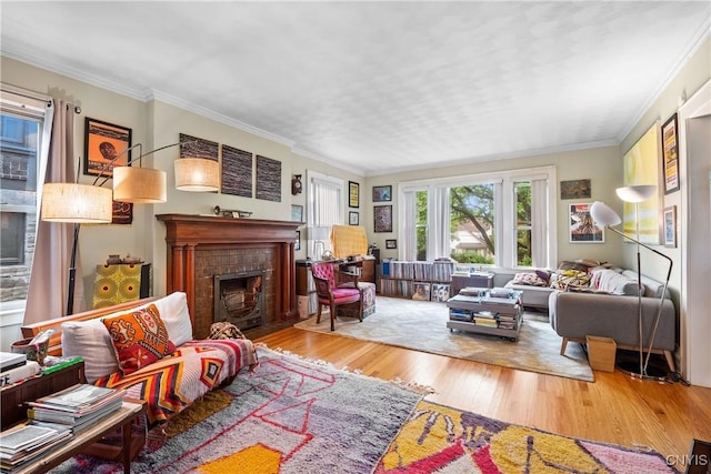 151 Edgehill Rd, Syracuse, NY 13224 - living area with wood finished floors, a fireplace, and ornamental molding