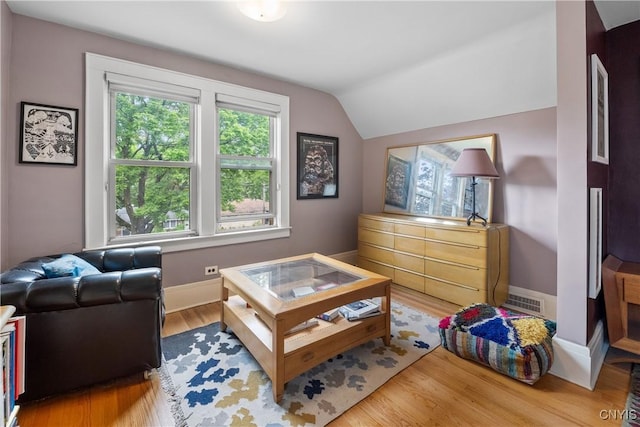 151 Edgehill Rd, Syracuse, NY 13224 - living room featuring vaulted ceiling and light wood finished floors