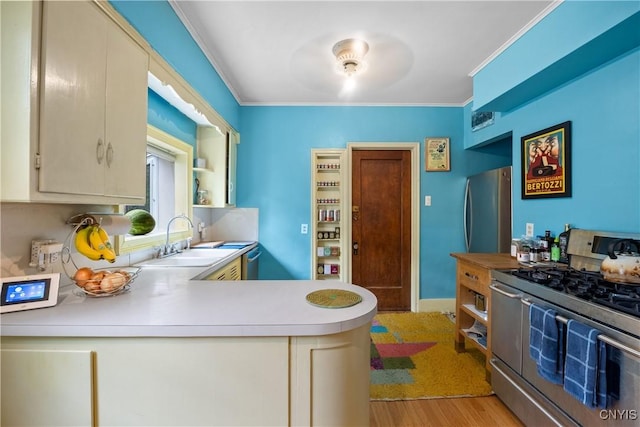 151 Edgehill Rd, Syracuse, NY 13224 - kitchen featuring stainless steel appliances, light countertops, ornamental molding, light wood-type flooring, and a peninsula