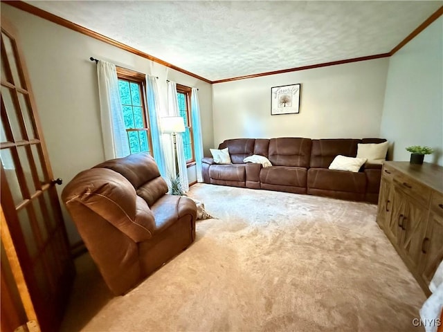 550 Sayles St, Oneida-Inside, NY 13421 - living area with crown molding and light colored carpet