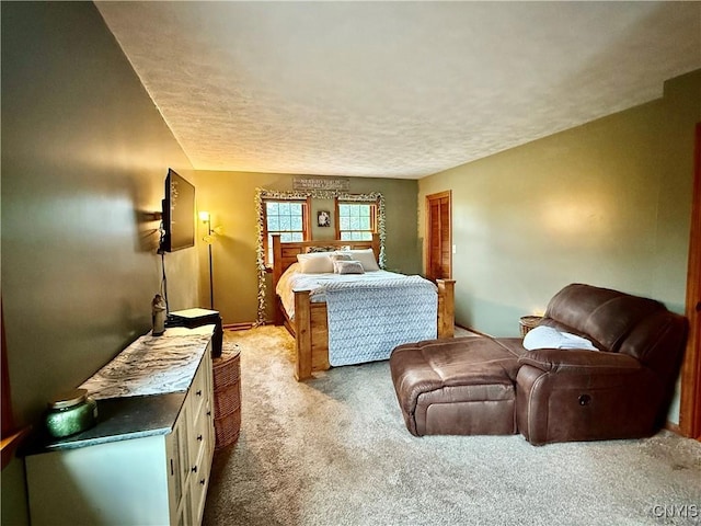 550 Sayles St, Oneida-Inside, NY 13421 - bedroom with carpet floors and a textured ceiling