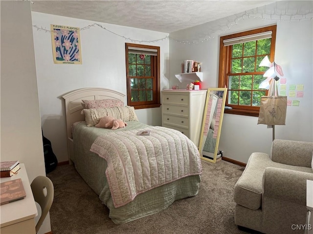 550 Sayles St, Oneida-Inside, NY 13421 - bedroom with carpet flooring and a textured ceiling