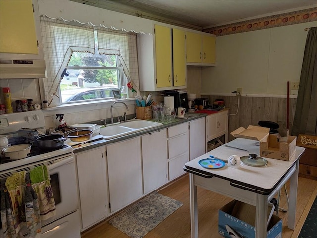 12941 Hillcrest Dr, Carlton, NY 14411 - kitchen featuring electric stove, under cabinet range hood, light wood finished floors, and tasteful backsplash