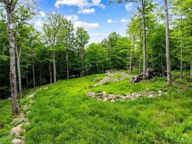 146 Mohawk Dr W, Webb, NY 13420 - view of yard with a forest view