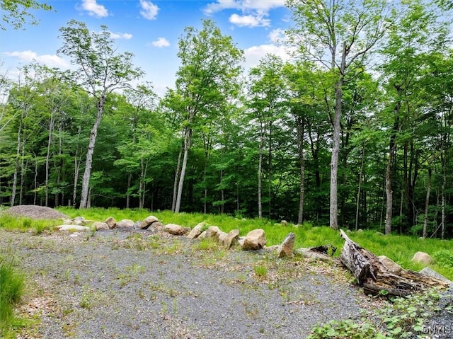 146 Mohawk Dr W, Webb, NY 13420 - view of tree filled area